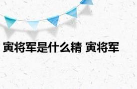 寅将军是什么精 寅将军 