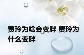 贾玲为啥会变胖 贾玲为什么变胖 