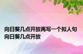 向日葵几点开放再写一个拟人句 向日葵几点开放 