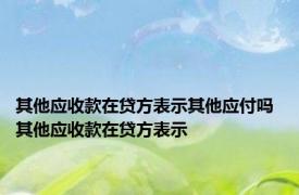 其他应收款在贷方表示其他应付吗 其他应收款在贷方表示 