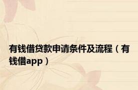 有钱借贷款申请条件及流程（有钱借app）