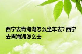 西宁去青海湖怎么坐车去? 西宁去青海湖怎么去