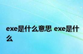 exe是什么意思 exe是什么