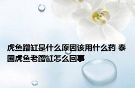 虎鱼蹭缸是什么原因该用什么药 泰国虎鱼老蹭缸怎么回事