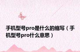 手机型号pro是什么的缩写（手机型号pro什么意思）