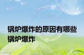 锅炉爆炸的原因有哪些 锅炉爆炸 