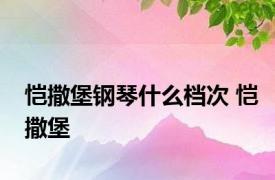 恺撒堡钢琴什么档次 恺撒堡 