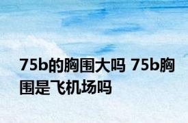 75b的胸围大吗 75b胸围是飞机场吗 