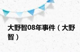 大野智08年事件（大野智）