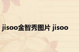 jisoo金智秀图片 jisoo 