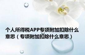 个人所得税APP专项附加扣除什么意思（专项附加扣除什么意思）