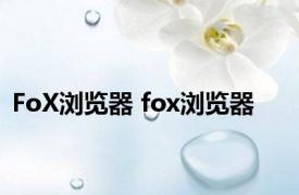 FoX浏览器 fox浏览器 