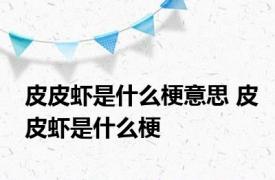 皮皮虾是什么梗意思 皮皮虾是什么梗