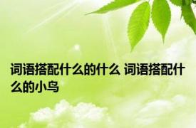 词语搭配什么的什么 词语搭配什么的小鸟