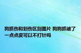 狗抓伤和划伤区别图片 狗狗抓破了一点点皮可以不打针吗