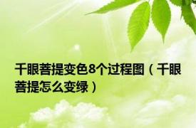 千眼菩提变色8个过程图（千眼菩提怎么变绿）