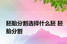 胚胎分割选择什么胚 胚胎分割 