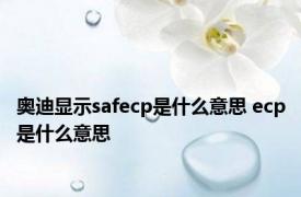 奥迪显示safecp是什么意思 ecp是什么意思 