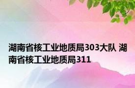 湖南省核工业地质局303大队 湖南省核工业地质局311 