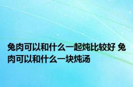 兔肉可以和什么一起炖比较好 兔肉可以和什么一块炖汤