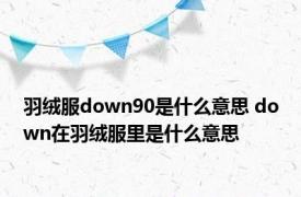 羽绒服down90是什么意思 down在羽绒服里是什么意思