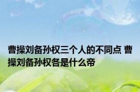 曹操刘备孙权三个人的不同点 曹操刘备孙权各是什么帝