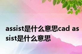 assist是什么意思cad assist是什么意思 