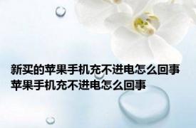 新买的苹果手机充不进电怎么回事 苹果手机充不进电怎么回事 