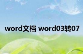 word文档 word03转07 