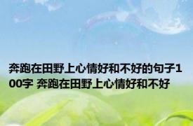 奔跑在田野上心情好和不好的句子100字 奔跑在田野上心情好和不好 