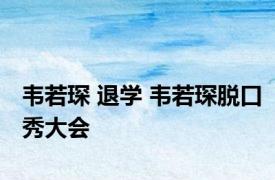 韦若琛 退学 韦若琛脱口秀大会 