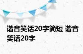 谐音笑话20字简短 谐音笑话20字 