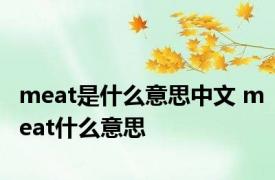 meat是什么意思中文 meat什么意思 