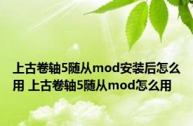 上古卷轴5随从mod安装后怎么用 上古卷轴5随从mod怎么用