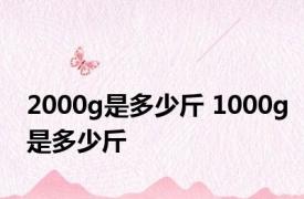 2000g是多少斤 1000g是多少斤 