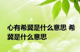 心有希冀是什么意思 希冀是什么意思