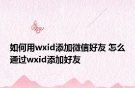 如何用wxid添加微信好友 怎么通过wxid添加好友