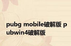 pubg mobile破解版 pubwin4破解版 