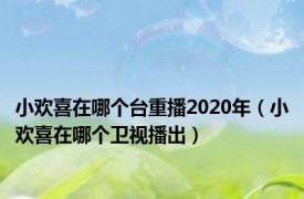 小欢喜在哪个台重播2020年（小欢喜在哪个卫视播出）