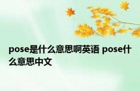 pose是什么意思啊英语 pose什么意思中文 