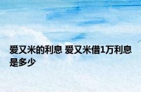 爱又米的利息 爱又米借1万利息是多少 