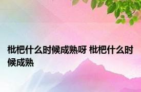 枇杷什么时候成熟呀 枇杷什么时候成熟 