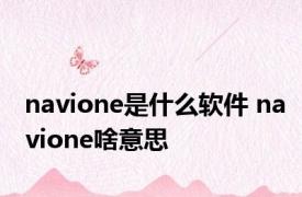 navione是什么软件 navione啥意思 