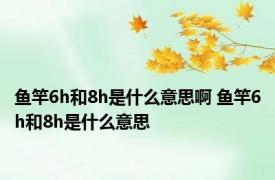 鱼竿6h和8h是什么意思啊 鱼竿6h和8h是什么意思