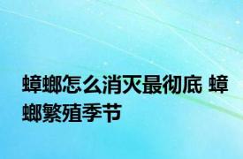 蟑螂怎么消灭最彻底 蟑螂繁殖季节