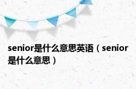 senior是什么意思英语（senior是什么意思）