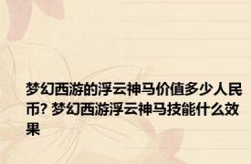 梦幻西游的浮云神马价值多少人民币? 梦幻西游浮云神马技能什么效果