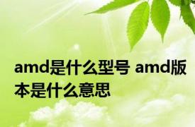 amd是什么型号 amd版本是什么意思