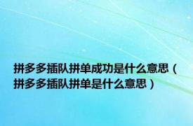 拼多多插队拼单成功是什么意思（拼多多插队拼单是什么意思）