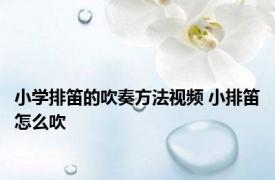 小学排笛的吹奏方法视频 小排笛怎么吹